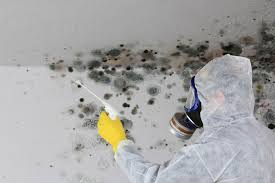 Mold Remediation for Rental Properties in Highland Park, TX